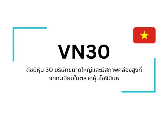 VN30 for newbies